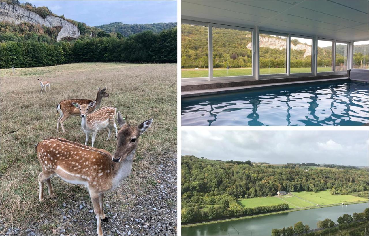 Le Val des Cerfs - Het Hertendal Hastiere-par-dela Buitenkant foto