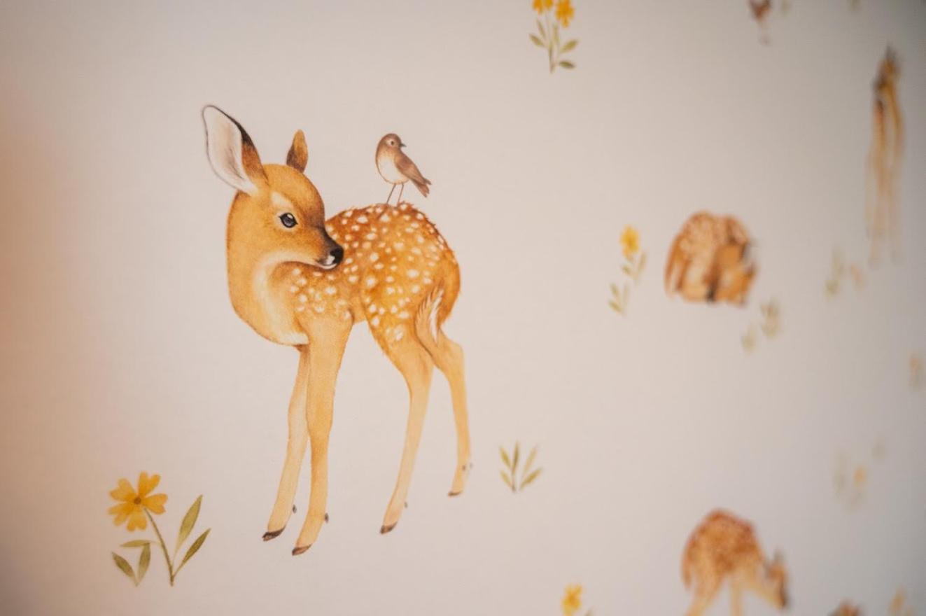 Le Val des Cerfs - Het Hertendal Hastiere-par-dela Kamer foto